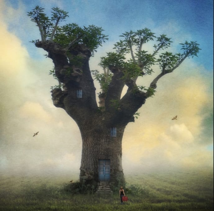 La justa medida de sol